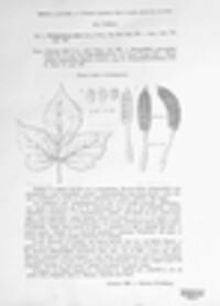 Phragmidium bulbosum image
